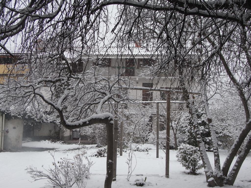 Pavone Canavese B&B Casa Passito المظهر الخارجي الصورة