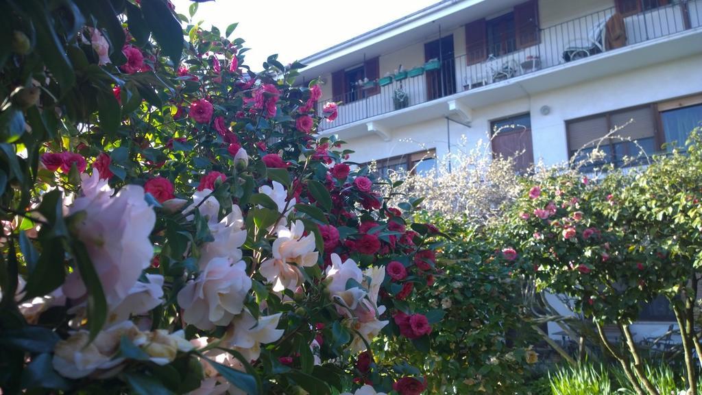 Pavone Canavese B&B Casa Passito المظهر الخارجي الصورة